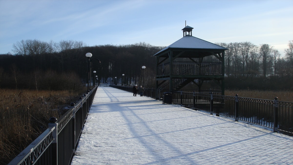 Budowa Kładki Bagiennej W Człuchowie